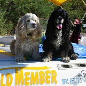 Meet your Posher, Bill jane